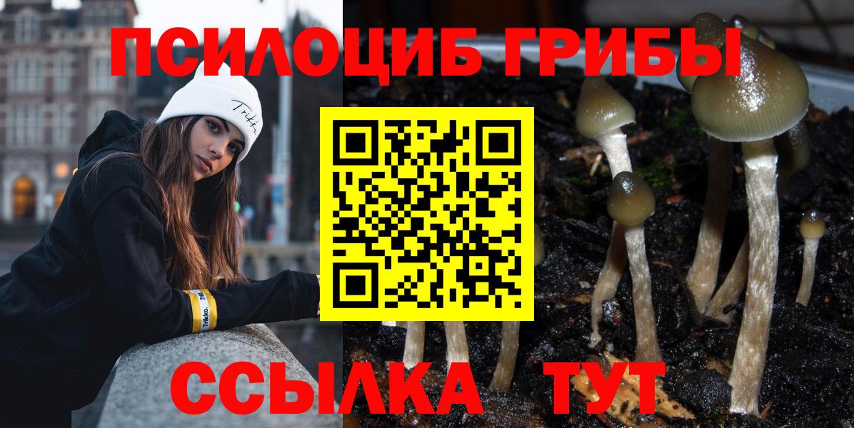 Волоколамск  Галлюциногенные грибы MAGIC MUSHROOMS  Вход с VPN 